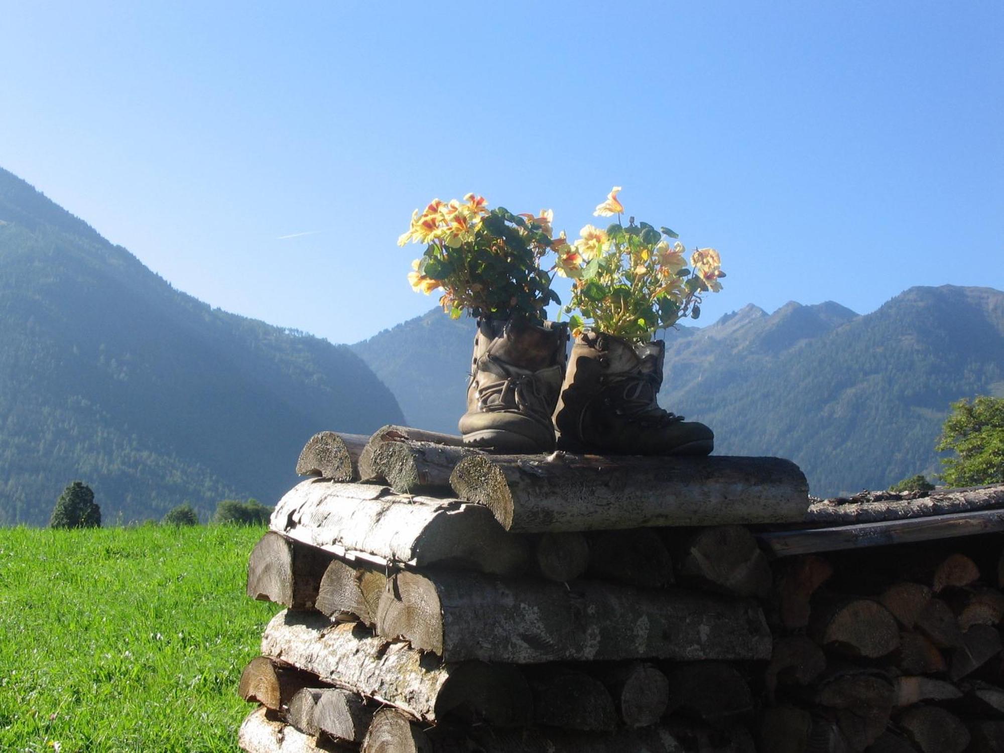 Landhaus Steiner Schladming Bagian luar foto