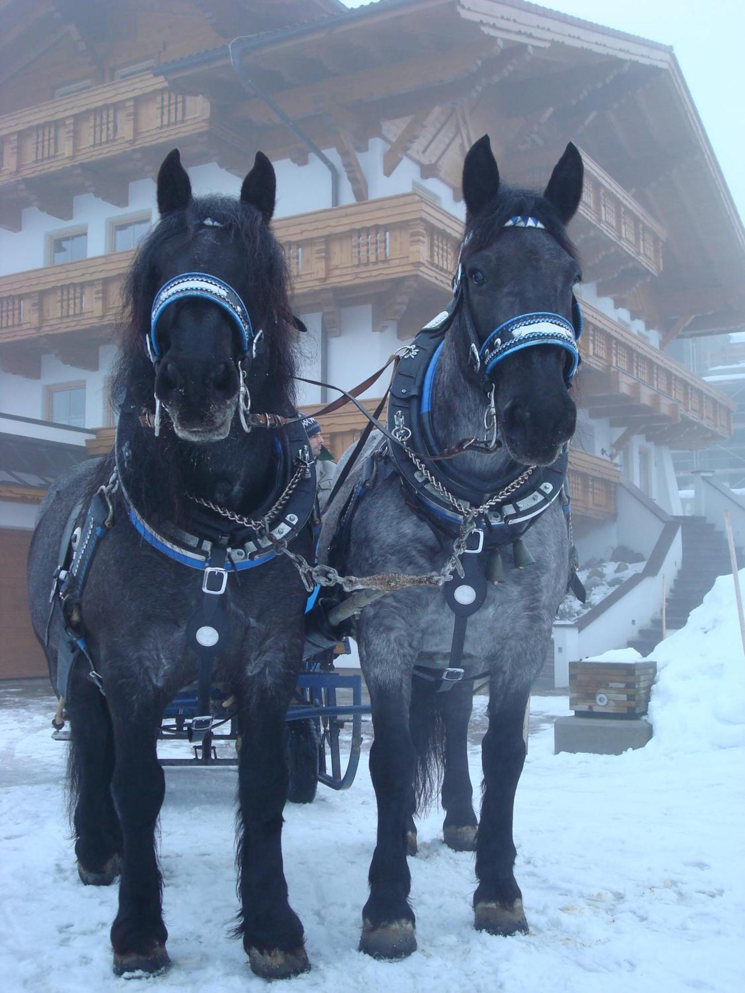 Landhaus Steiner Schladming Bagian luar foto