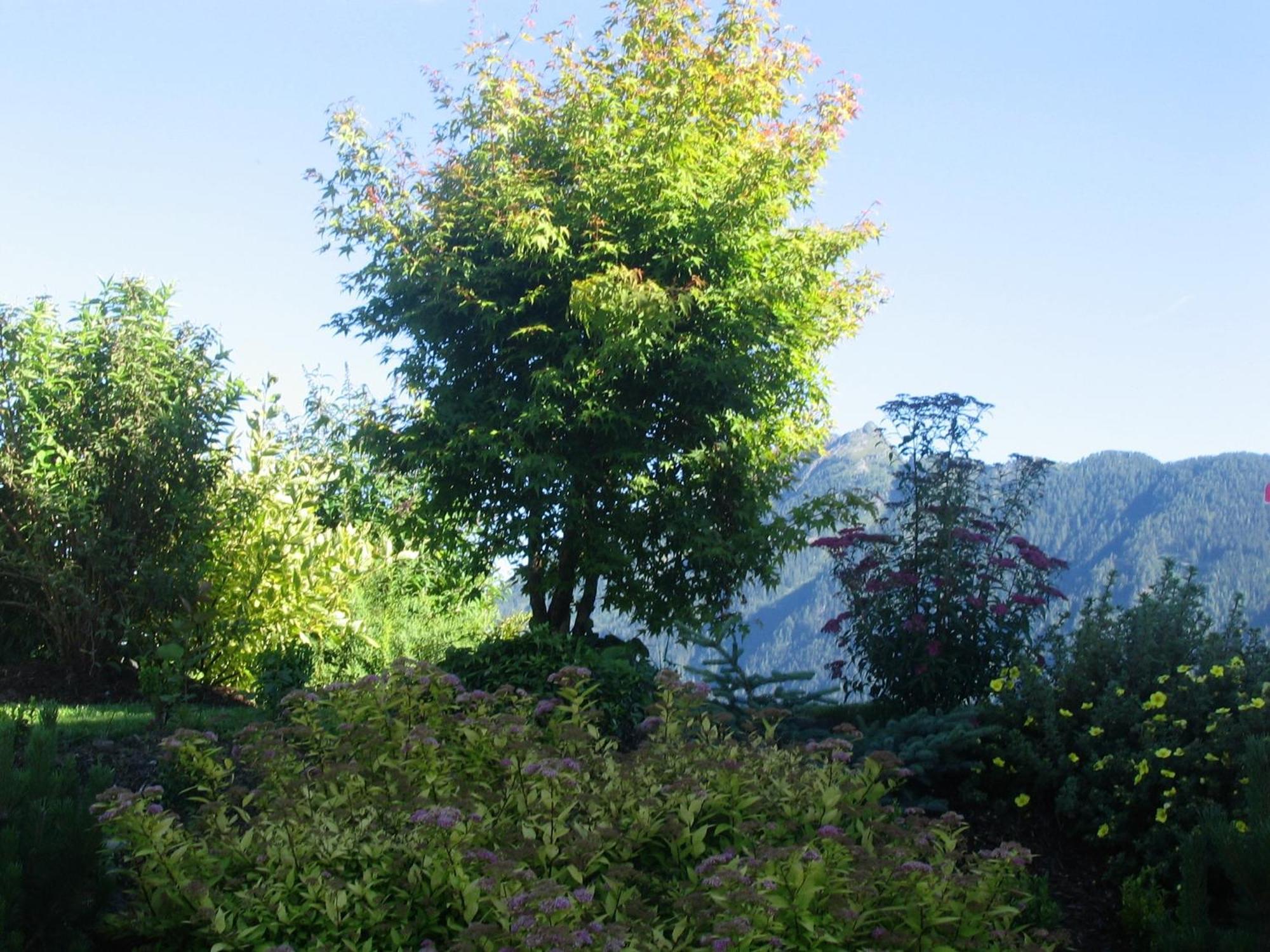 Landhaus Steiner Schladming Bagian luar foto